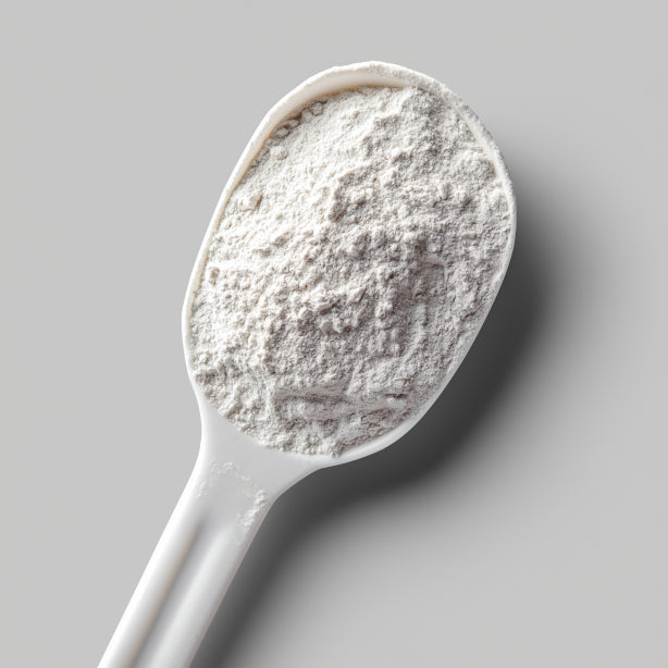 The Comprehensive Benefits of Creatine Monohydrate